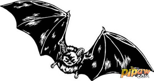 黑夜传说吸血鬼蝙蝠