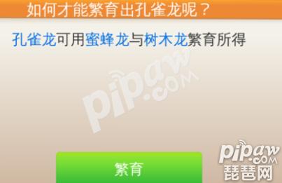 萌龙大乱斗孔雀龙怎么合成 本周周龙合成配方 萌龙大乱斗孔雀龙怎么合成 本周周龙合成配方