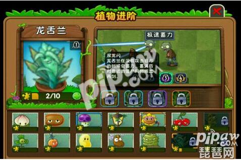 植物大战僵尸2龙舌兰进阶怎么样 龙舌兰进阶图分享