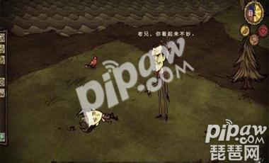 饥荒怎么回血 吃什么东西加血多