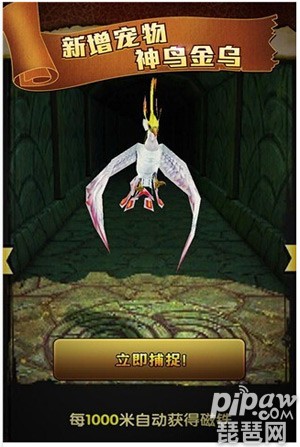 神庙逃亡2神鸟金乌怎么捕捉?