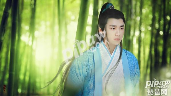 诛仙青云志电视剧一共有多少集