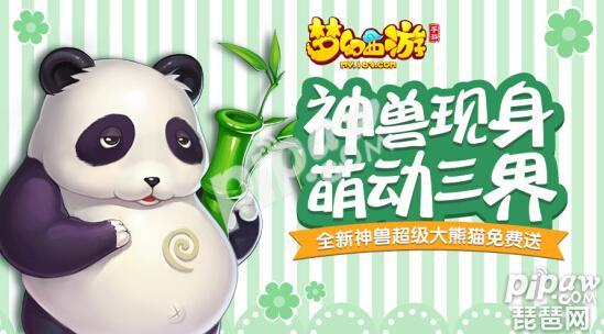 梦幻西游手游超级大熊猫怎么加点 超级熊猫加点方法盘点