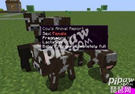 我的世界铁砧附魔怎么做 怎么用铁砧来附魔