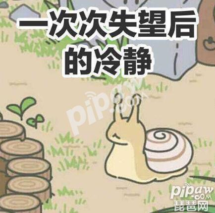 旅行青蛙蜗牛来了怎么办 怎么给蜗牛吃东西