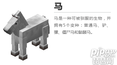 我的世界马怎么驯服吃什么提高成功率 琵琶网