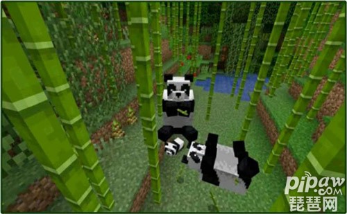 我的世界哪里有熊猫