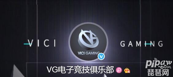 王者荣耀2019vg战队 VG侠成员资料