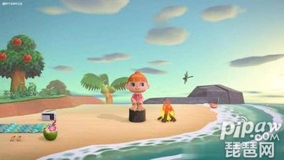 动物之森怎么上高地 怎么获取梯子