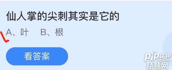 仙人掌猜东西是什么成语_蚂蚁庄园今日答案仙人掌仙人掌9.13最新答案