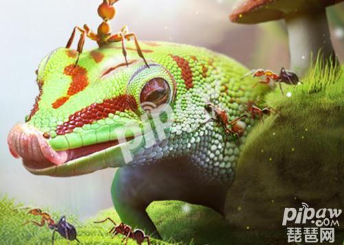 小小蚁国礼包兑换码