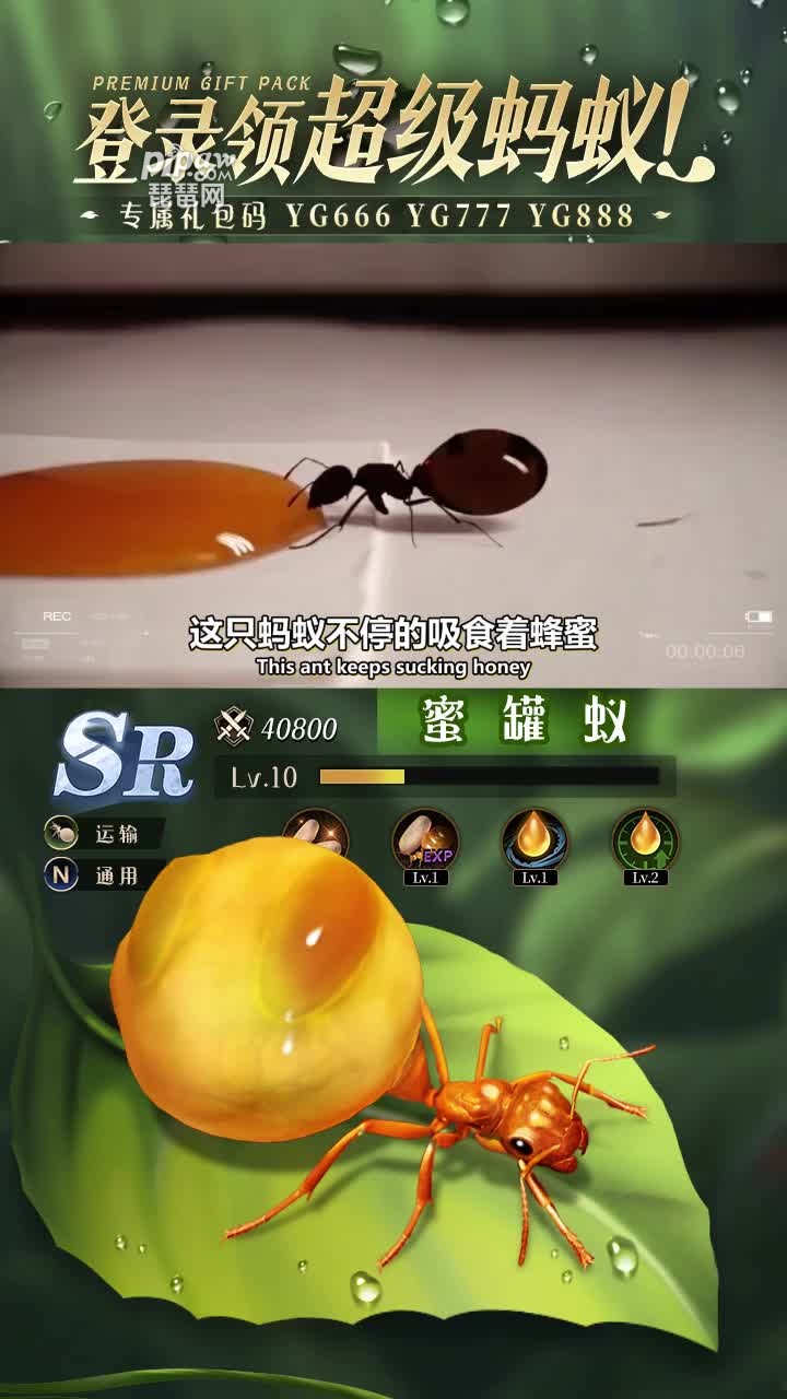 小小蚁国礼包激活码大全有哪些?(11个真实激活码合集)小编也是全部的给大家整理出来了，只要大家喜欢的话都是可以获取到自己喜欢的福利的，这点的话也是特别的重要的，毕竟很多的玩家都是会遇到这些情况的。