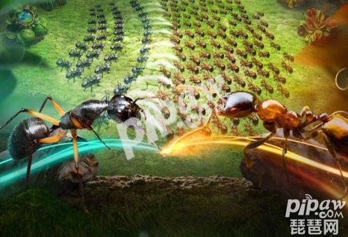 小小蚁国礼包兑换码