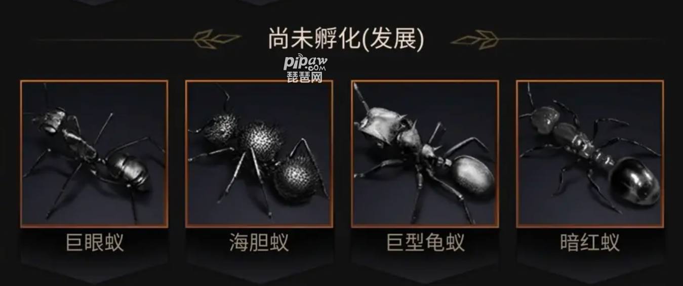小小蚁国特化蚁怎么用?特化蚁搭配推荐就让琵琶网小编来整理分享给各位喜欢的小伙伴们吧，特化蚁在游戏中是非常厉害的一种蚂蚁，强度也是特别的高的，很多的高玩都是会带上这一蚁种的，下面我们就一起来看看详细的搭配攻略吧~