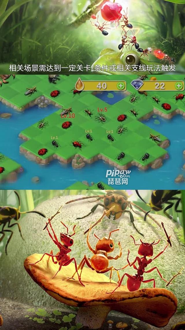 地下蚁城永久礼包兑换码有哪些?5个真实礼包激活码汇总小编也是给大家全部的整理出来了，只要大家喜欢的话都是喜欢的，只要大家喜欢的话就一定要特别的需要注意的，只要大家喜欢的话就一定要特别的关注的，下面我们就一起来看看详细的内容吧~