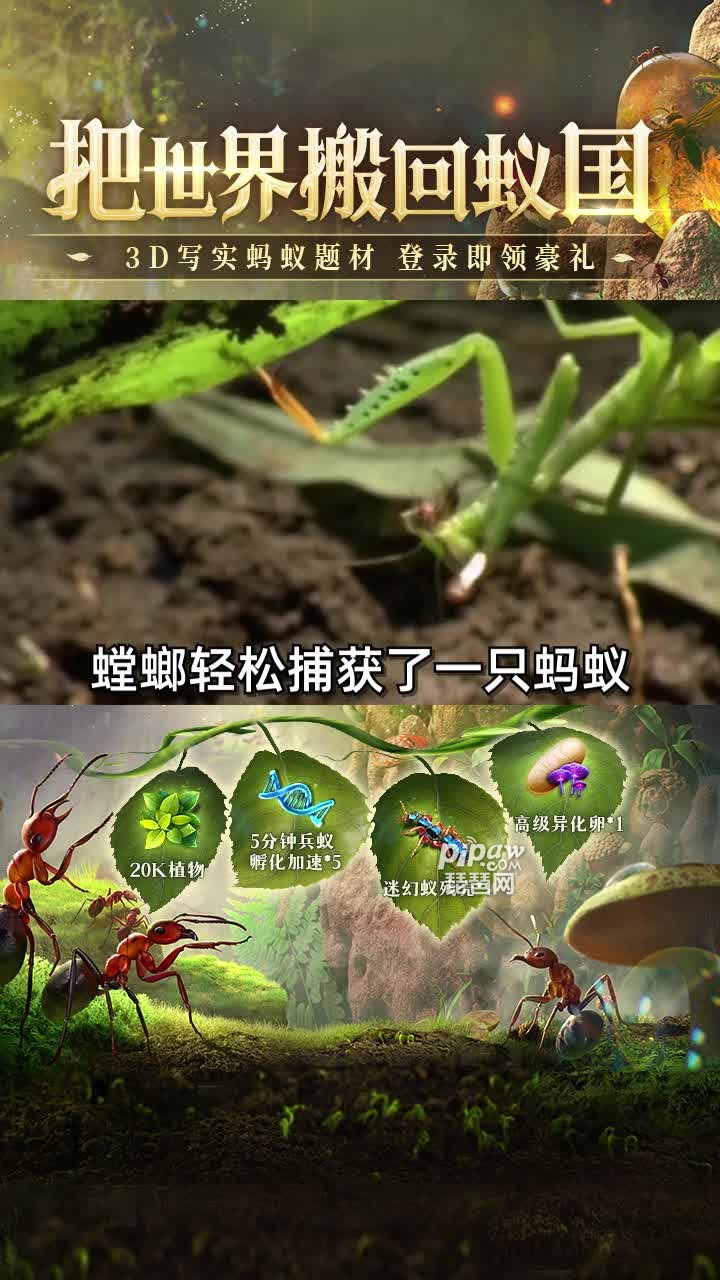 蚁族总动员3个最新礼包兑换码有哪些?真实礼包激活码合集小编也是全部的给大家整理到位了，基本上只要是合适的版本都是可以兑换到奖励的，下面我们就一起来看看详细的内容吧~