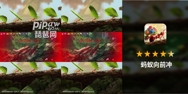 蚂蚁向前冲福利礼包兑换码有哪些?10个最新福利礼包激活码大全小编也是全部的给大家整理出来了，只要大家喜欢的话都是可以获取到的，下面我们就一起来看看详细的内容吧~