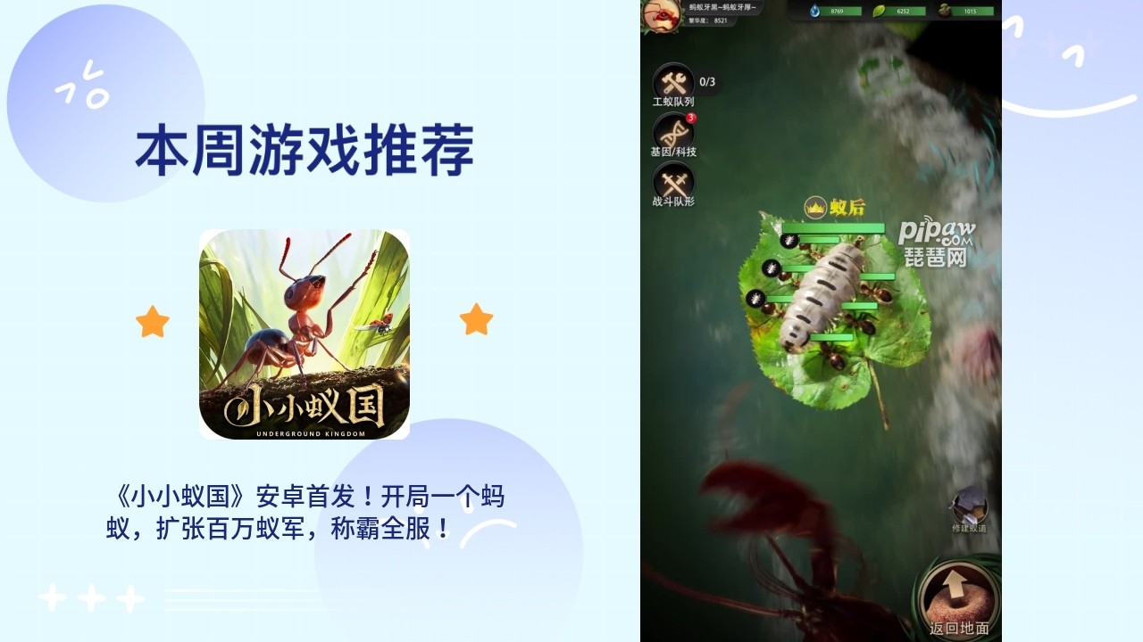 ,小小蚁国联盟远征