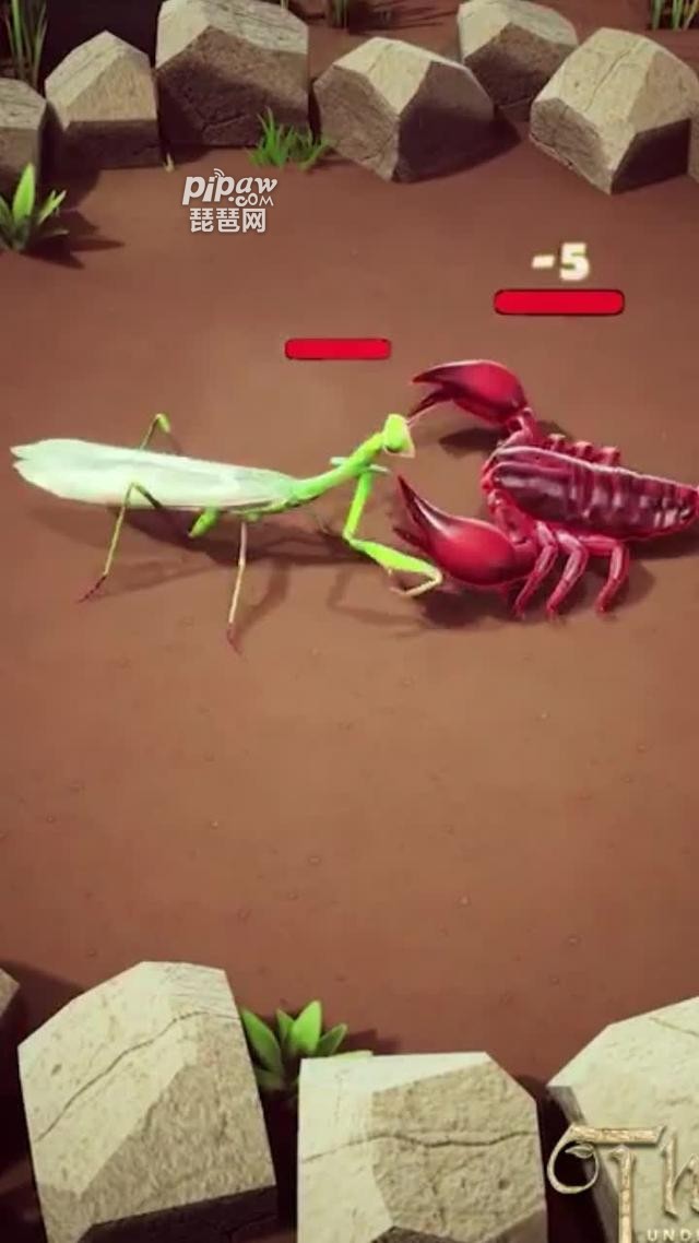 不可思议世界5个礼包码(最新)有哪些?真实兑换码合集小编也是全部的为大家整理出来了，基本大家需要的话都是可以获取到专属的福利的，大家要是喜欢的话就一定要特别的注意的，下面我们就一起来看看详细的内容吧~