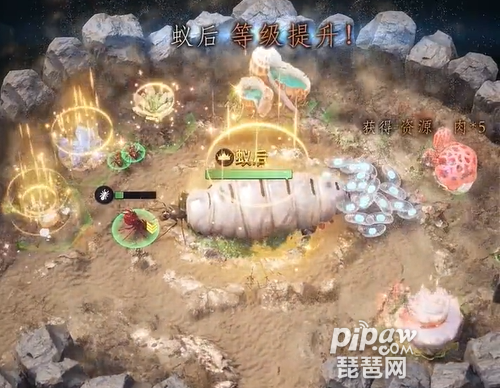 小小蚁国蚁族总动员真实兑换码汇总?免费有效礼包码合集也是全部的给大家整理出来了，只要大家喜欢的话都是可以免费的从小编这里获取到专属的奖励的，下面我们就一起来看看详细的内容吧，毕竟很多的时候我们都是需要用到合适的礼包码奖励的。