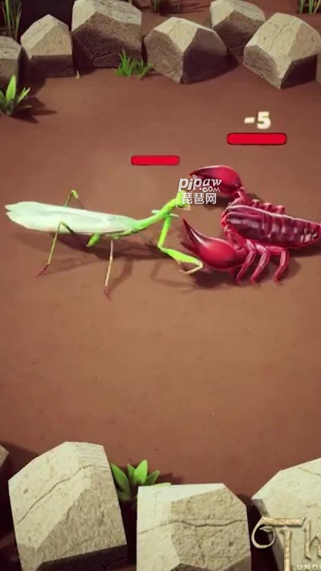 小小蚁国蚁族总动员真实兑换码汇总?免费有效礼包码合集也是全部的给大家整理出来了，只要大家喜欢的话都是可以免费的从小编这里获取到专属的奖励的，下面我们就一起来看看详细的内容吧，毕竟很多的时候我们都是需要用到合适的礼包码奖励的。