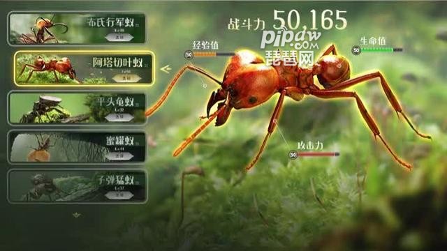 小小蚁国蚁族觉醒能搬砖吗?搬砖赚钱是真的吗?每次有新的游戏出现的时候就很多的小伙伴们会想知道该游戏能不能搬砖赚钱，下面我们就一起来看看详细的内容吧~