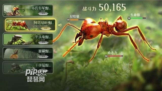 小小蚁国蚁族觉醒特化蚁升星材料表是什么?2022特化蚁升星材料有哪些?这些问题的答案也是很多的小伙伴们会遇到的，毕竟要升星自己的主力特化蚁都是需要一份完整的升星材料表的，下面我们就一起来看看吧~