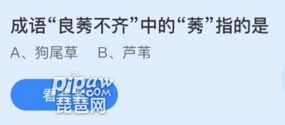 白日依山尽可以猜什么成语_蚂蚁庄园7月1日答案最新小鸡庄园7.1今日正确答案(2)