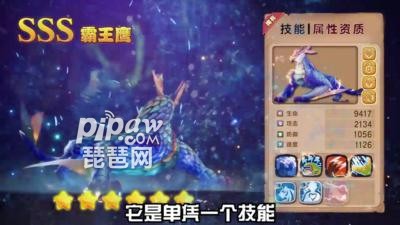 宠物排行_最受欢迎宠物狗排名!(2)