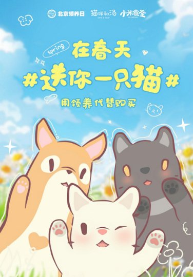 《猫咪和汤》×北京领养日×小米食堂