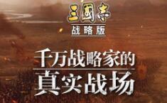 三国志战略版各阵营国家队 阵营最强阵容推荐